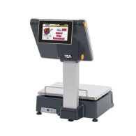 DIBAL D-955DB DB 12,1" + 7" | Alfa System